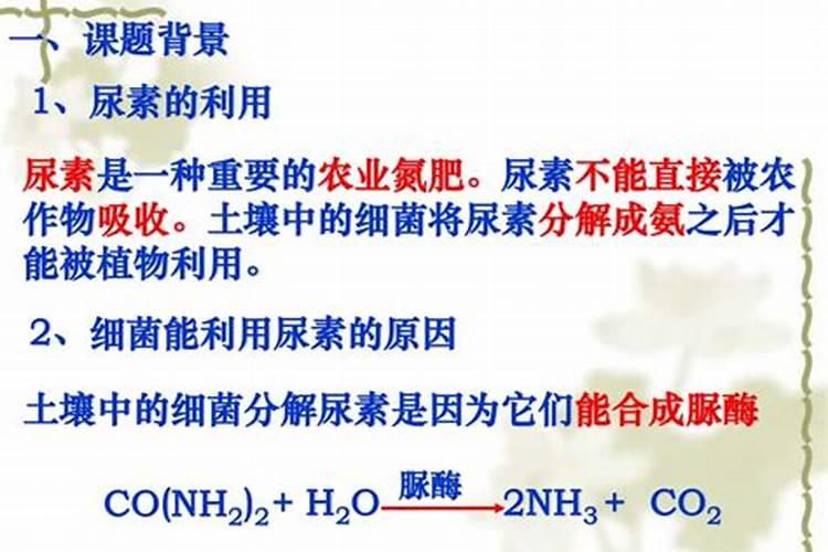 尿素的分解过程是什么？