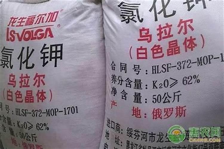 什么是钾肥最好的肥料？