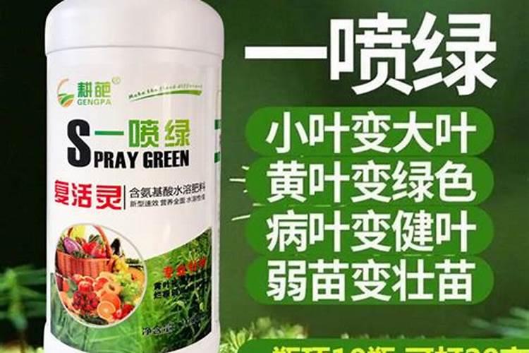 蔬菜水溶肥零售店名字怎么取好听？