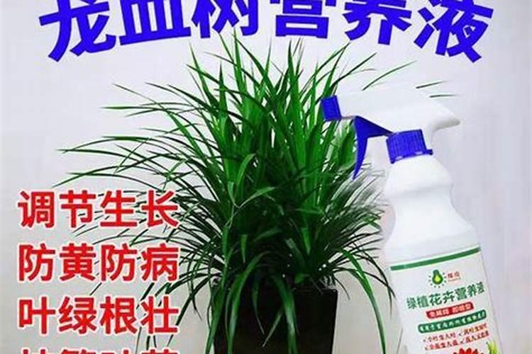 营养液的正确使用方法浇花