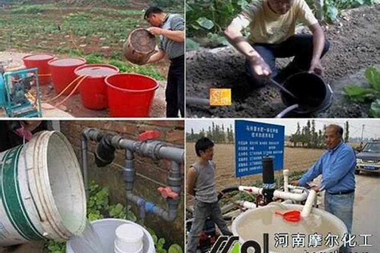 请问80克水溶肥兑多少水浇花？