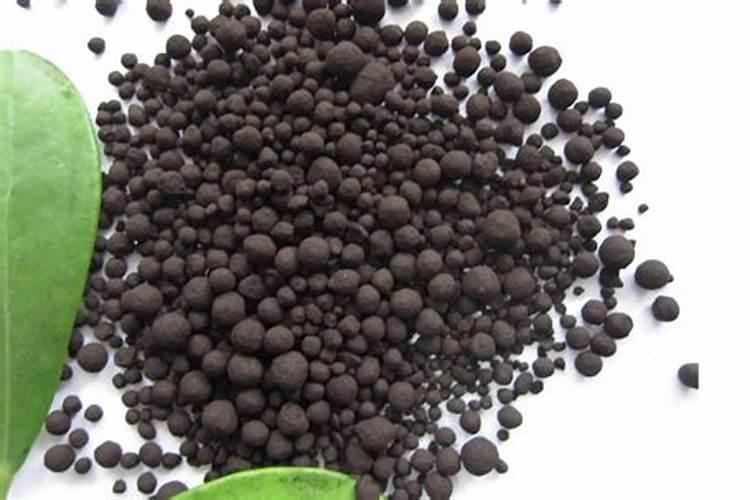 腐植酸水溶性肥料怎么用效果好？