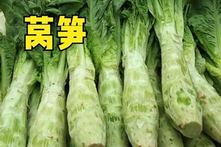 立秋后可以栽种莴笋了吗？