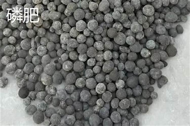 怎样分辨磷肥和氮肥的区别和用途？