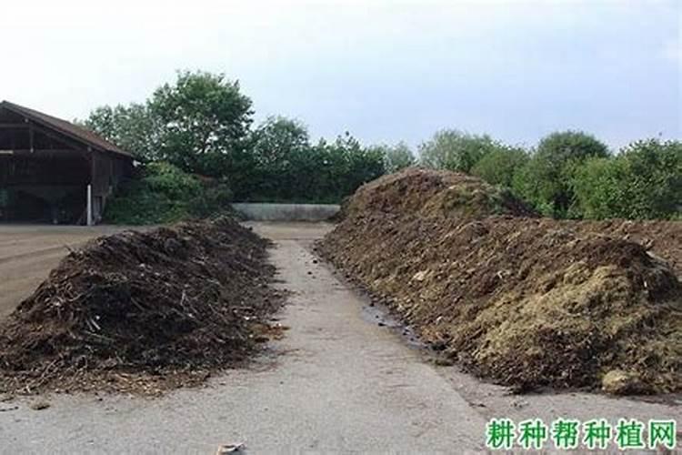 请问沤有机肥:有氧与无氧沤肥哪个比较好,各适用于什么场合？
