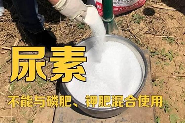 磷肥能和钾肥混合施肥吗为什么？