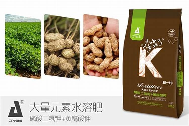 花生怎样施用钾肥和钙质肥料