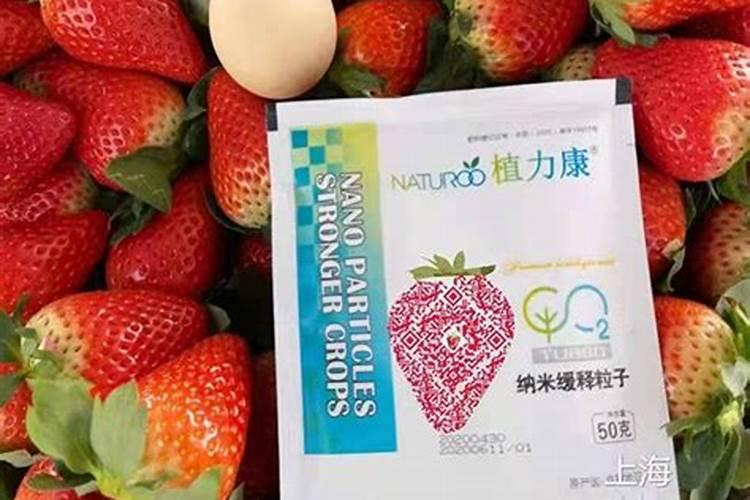 选植力康叶面钙肥、碳肥要看品牌吗？