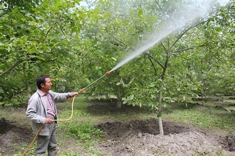 氯化钾能不能叶面肥喷施？