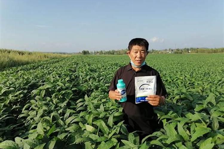 黄豆打什么喷叶面肥最好用？