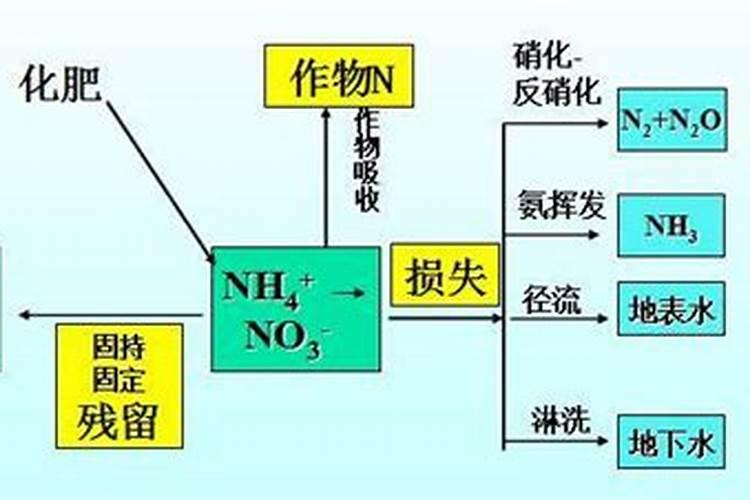 氮肥的使用频率为多少合适？