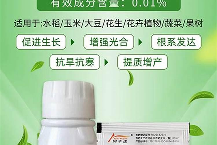 芸苔素的功效能增产吗为什么？