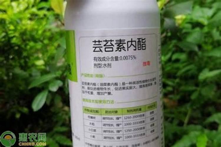 芸苔素的作用机理是什么？核心作用点有哪些？