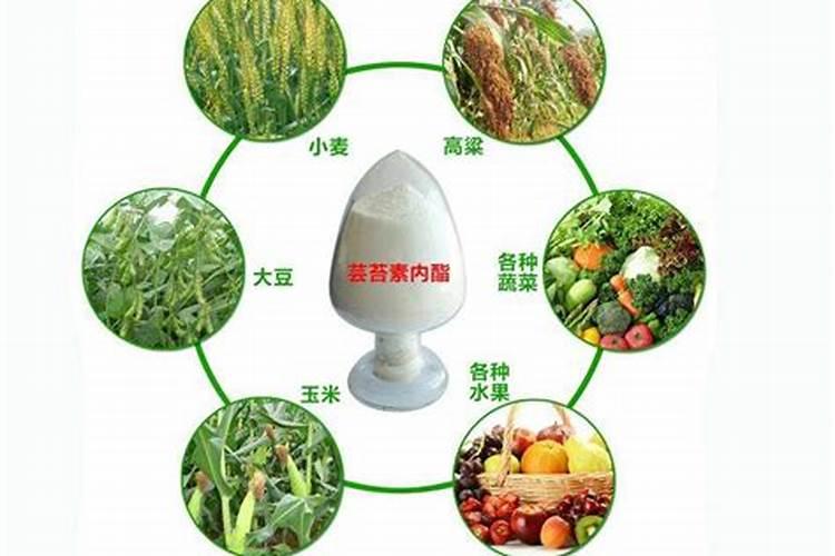 芸苔素对农作物起什么作用