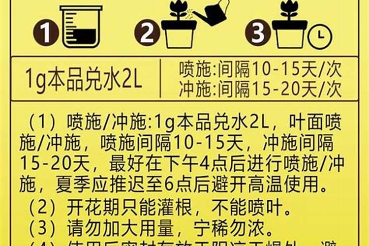 迎春花能喷二氢钾肥吗怎么喷？