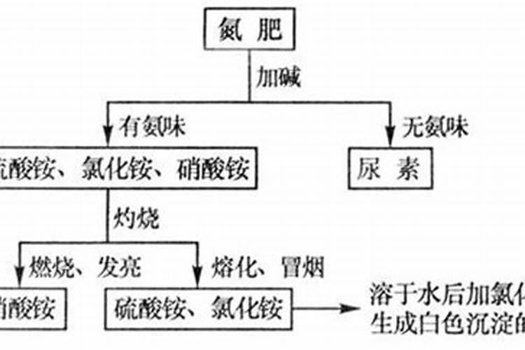 氮肥的简易鉴别为什么不能先加硝酸银要先加硝酸钡(硫酸铵 氯化铵 硝 ...