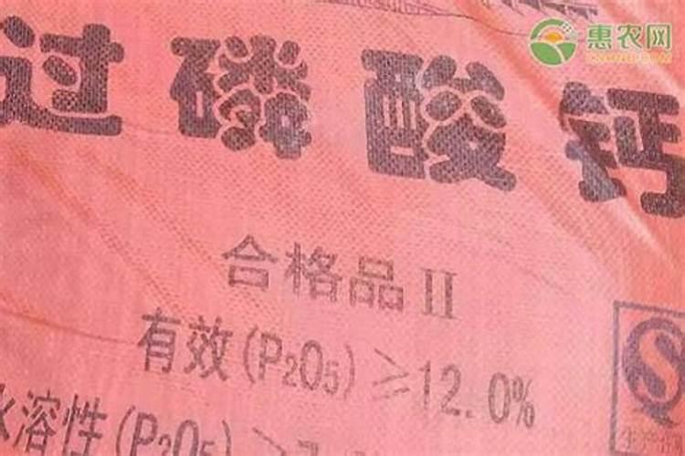 有哪些花需要磷肥