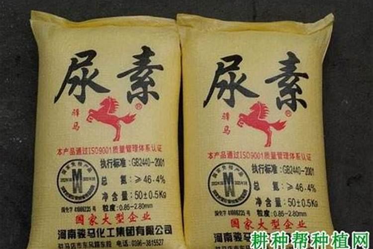 铵态氮肥有哪些不同点和特点？