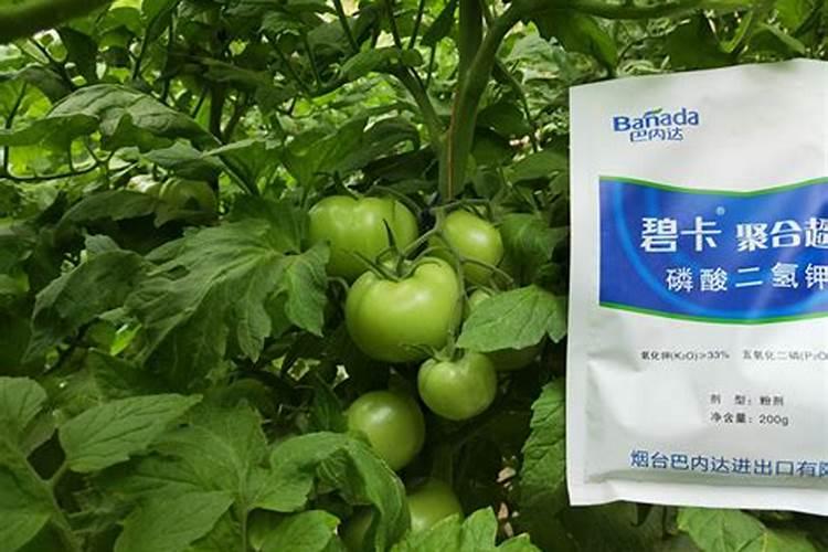 磷和钾肥的区别在哪里？