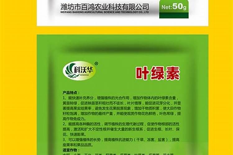 叶绿素和叶面肥的区别在哪？