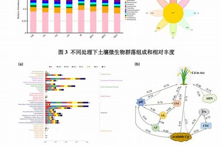 氮肥对生态环境的影响及对策