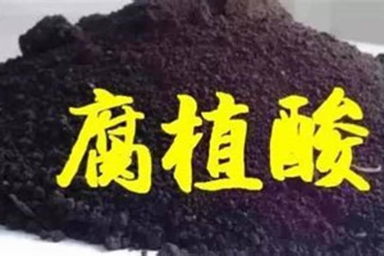 菌肥与腐殖酸肥料的区别在哪？