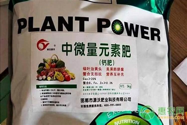 好的钙肥有哪些