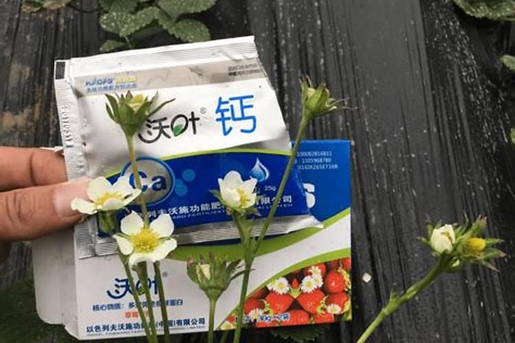 钙肥活化土壤有哪些种类？