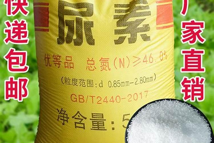 蔬菜专用速效氮肥哪些较好一点？
