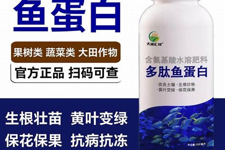鱼蛋白冲施几天可以浇水吗？