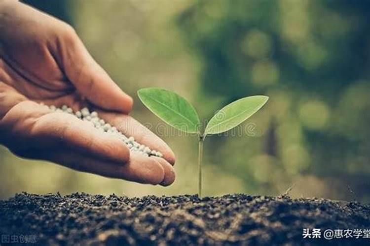 目前化肥价格多少钱一吨？为何都涨疯了？2022年5月化肥价格行情