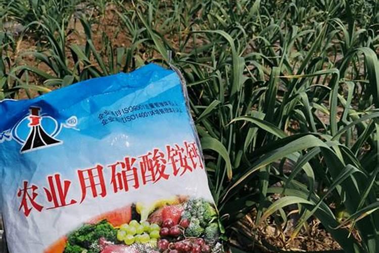 玉米施肥硝铵好还是硫铵好