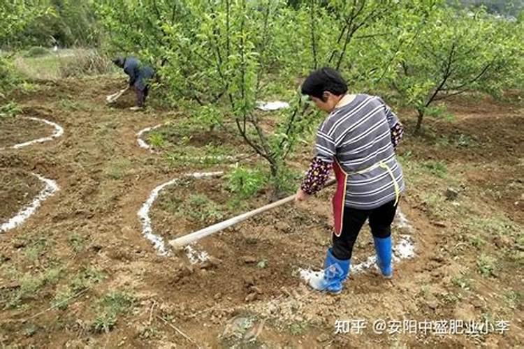 施用氮肥的方法