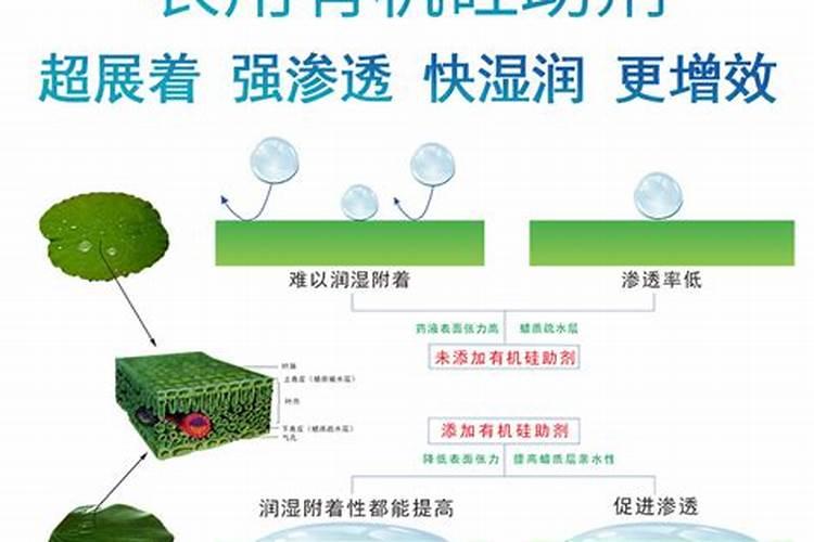 叶面肥加有机硅多长时间见效果啊？