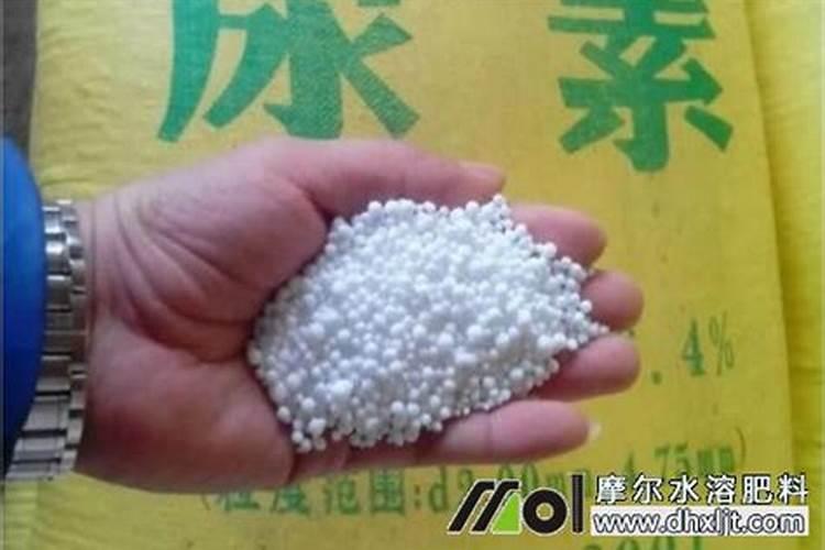 铁肥能和大量元素水冲肥混合使用吗？