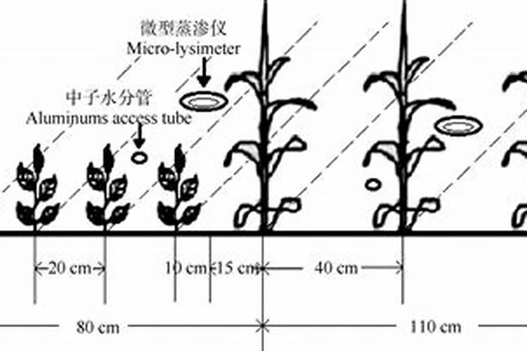 氮肥后移技术测定指标有哪些？