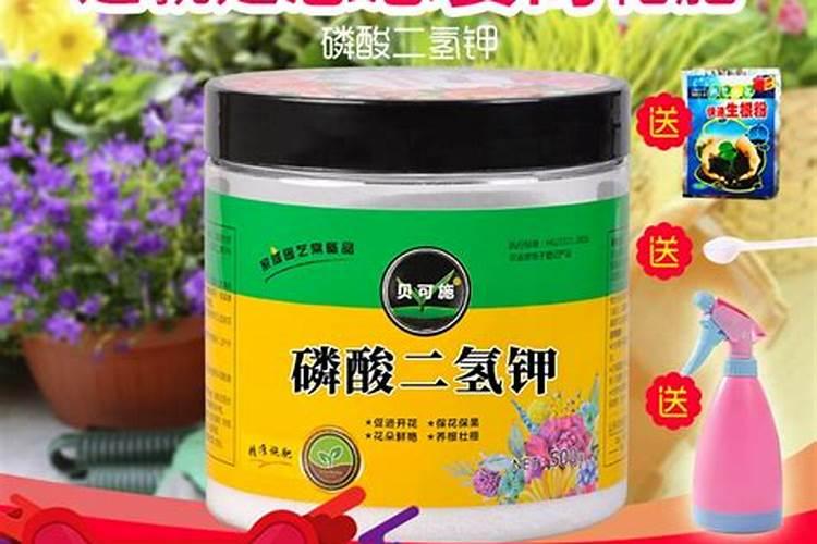 盆栽如何施钾肥