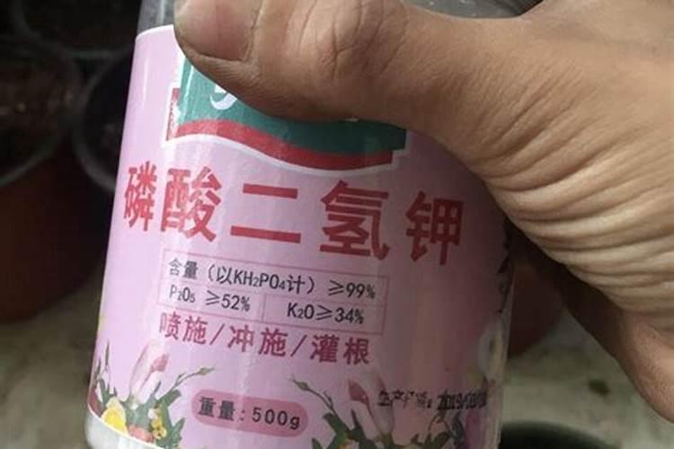 钾肥如何使用在花上