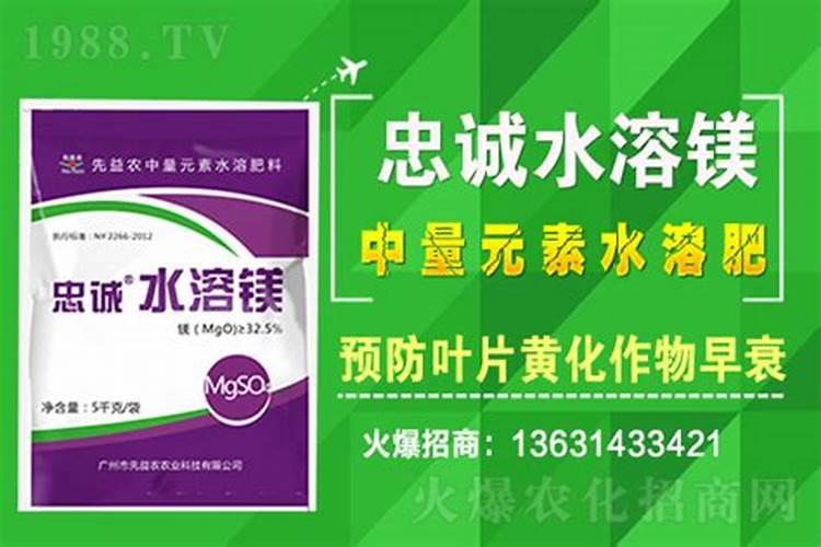 水溶肥加氧化镁有什么用途？