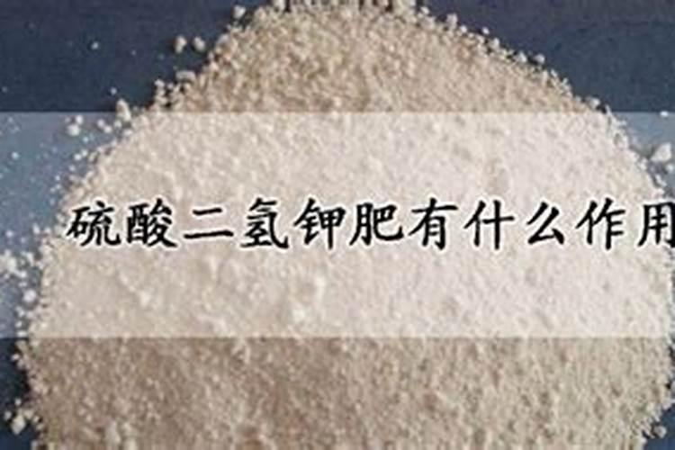 硫酸二氢钾肥有什么作用