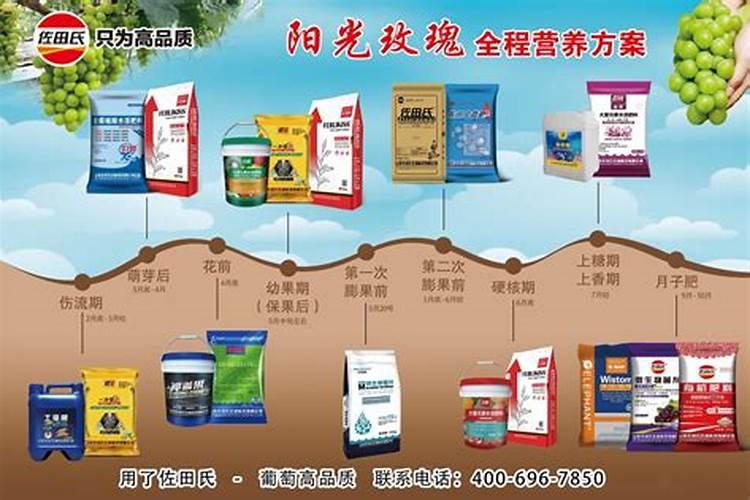 阳光玫瑰用硅肥好吗怎么施肥？