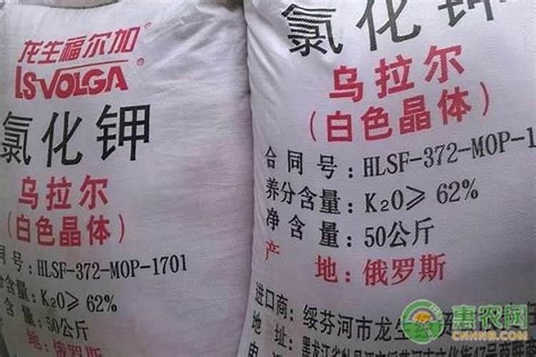 钾肥的作用及功能 钾肥的作用 钾肥的作用是什么 钾肥的主要作用