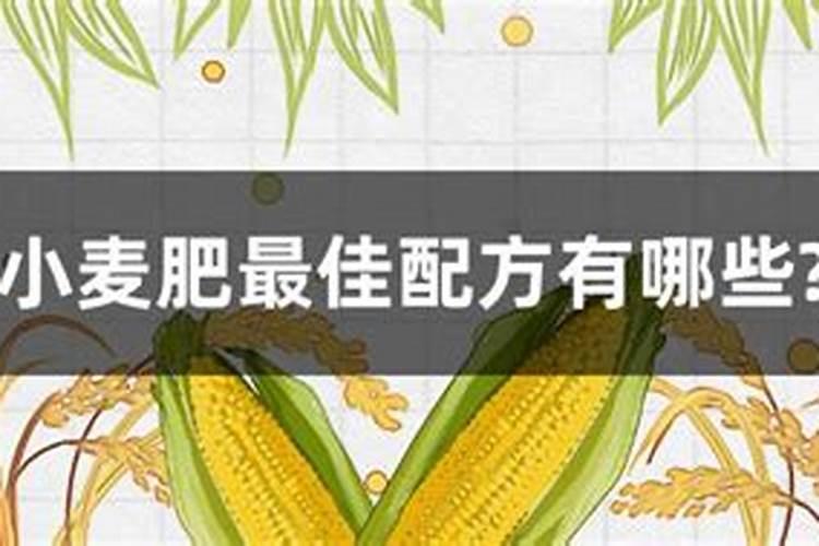 小麦肥料的最佳配方