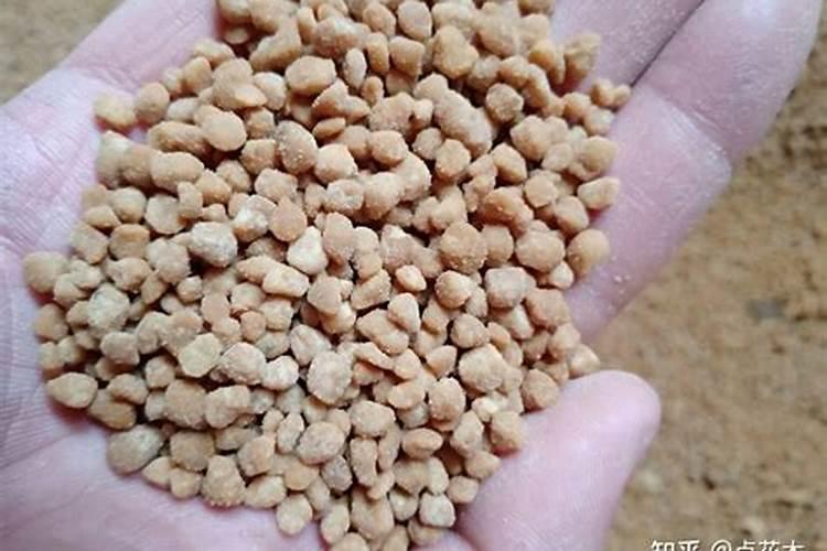 高氮肥适合什么作物种植？