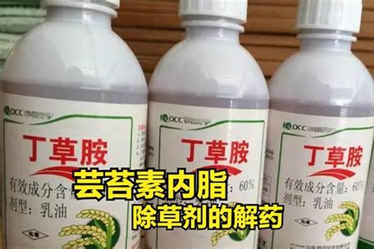 芸苔素内脂能积硼肥一起用吗？