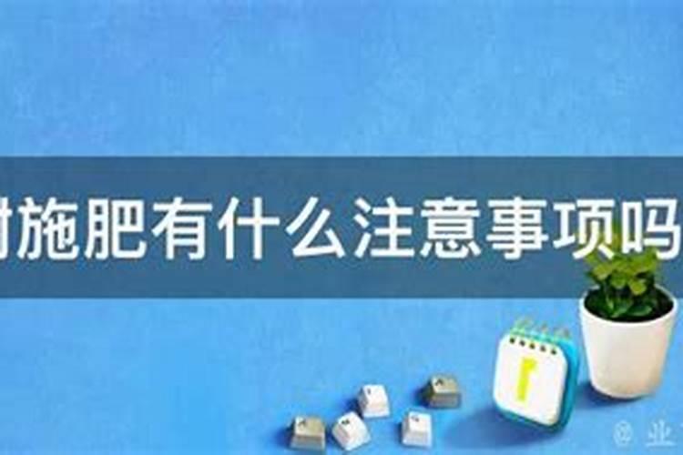 春天给果树施肥有什么注意事项吗