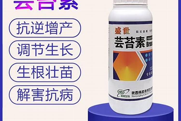 芸苔素在枣树什么时候用最好？