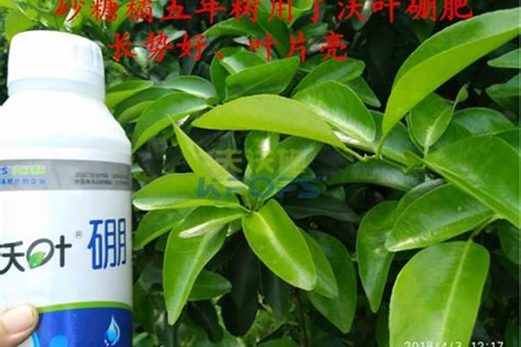水稻硼肥的作用及使用方法
