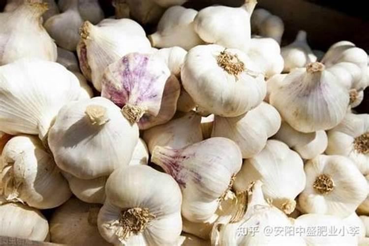 大蒜什么时间冲高钾肥最好？