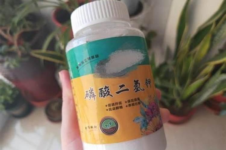 牡丹花磷酸二氢钾使用方法